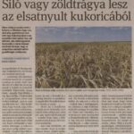 kszr_dm_20220805_p2_fabiansebestyen