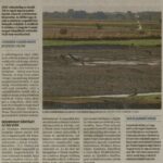 kszr_dm_20220813_p2_apatfalva