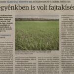 kszr_dm_20220908_p2_szekkutas