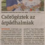 kszr_dm_20220912_p1_arpadhalom