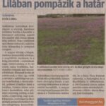 kszr_dm_20220921_p16_szekkutas