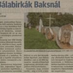 kszr_dm_20221011_p16_baks