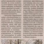 kszr_dm_20221110_p5_szekkutas