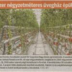 kszr_dm_20221116_p1_szegvar