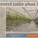 kszr_dm_20221117_p1_szegvar