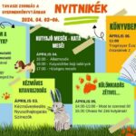 Nyitnikék – Tavaszi zsongás a Gyermekkönyvtárban