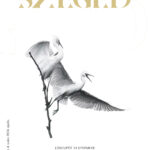 Megjelent a Szeged folyóirat 2024. áprilisi lapszáma