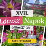 XVII. Lótusz Napok a Füvészkertben