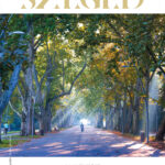 Szeged, 2024. október