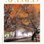 Szeged, 2025. január