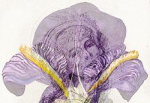 Örökérvényű emberi játszmák