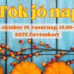 Tök jó nap – Egy tökéletes nap a Somogyi-könyvtárral!