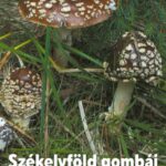 Pál-Fám Ferenc és Benedek Lajos Székelyföld gombái című közös könyvének első magyarországi bemutatója