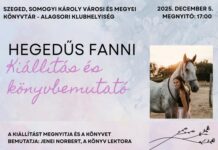 Megszelídült tükörkép