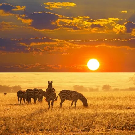 Afrika szépségei egy utazó szemével