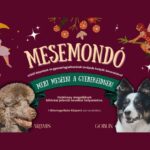 Mesemondó foglalkozások terápiás kutyák bevonásával