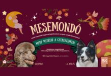 Mesemondó foglalkozások terápiás kutyák bevonásával