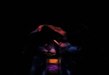 Fiatal képzőművészek a Somogyi-könyvtárban: Bondár Botond kiállítása