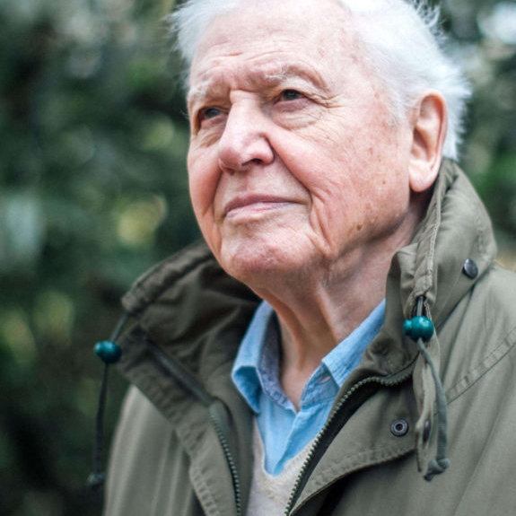 Egy élet a Földön – 100 éve született Sir David Frederick Attenborough