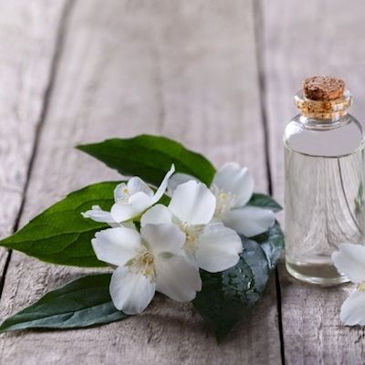 Beszélgetős illatozás