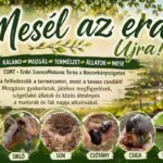 Mesél az erdő! Újra! - Kalandtúra az ébredő tiszai ártérben