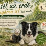 Mesél az erdő nyáron is! - "Last minute"