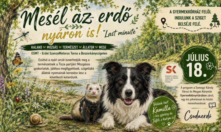 Mesél az erdő nyáron is! – „Last minute”
