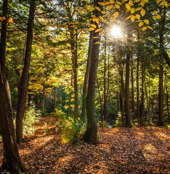 Természetből ellopott pillanatok 2.