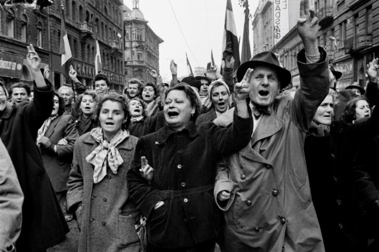 1956, 70 éve – kiállítás