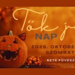 Tök jó nap – Egy tökéletes nap a Somogyi-könyvtárral!