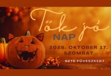 Tök jó nap – Egy tökéletes nap a Somogyi-könyvtárral!